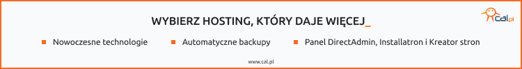 hosting www dla małej firmy
