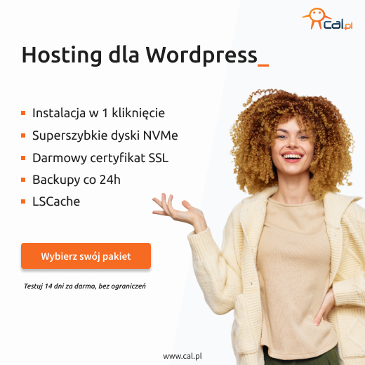 hosting www dla małej firmy