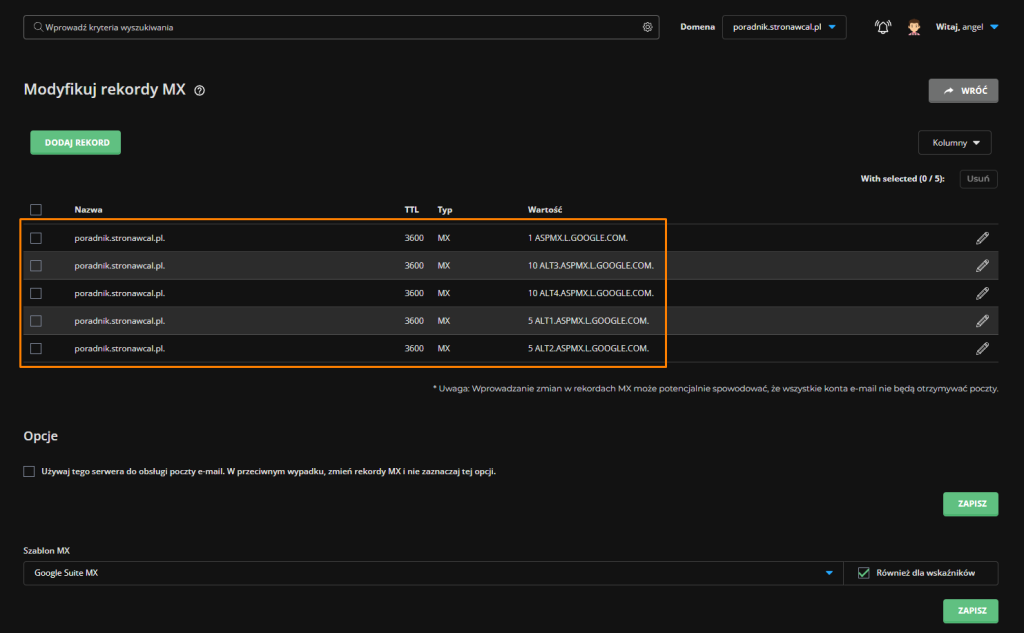 widok dodanych rekordów google w directadmin