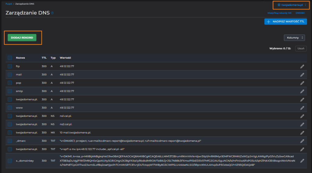 strefa dns directadmin