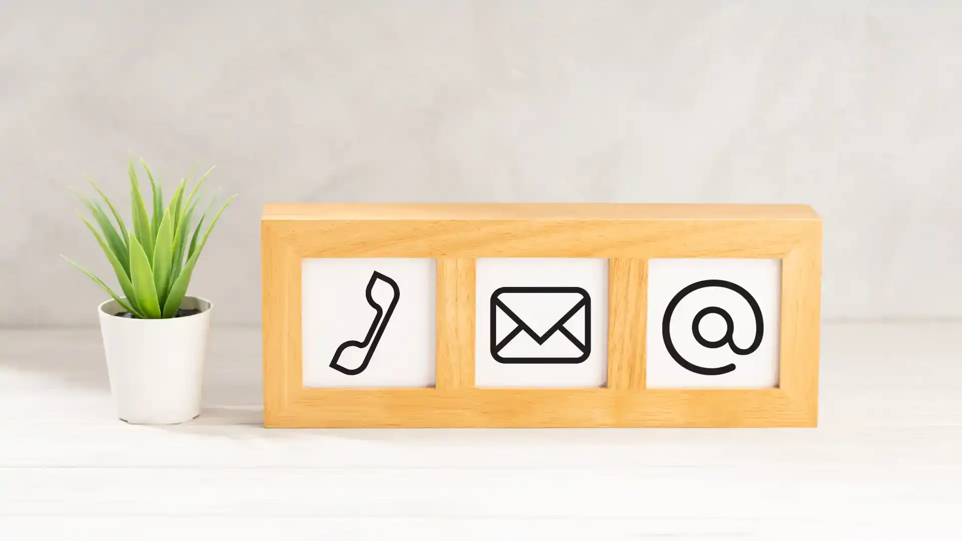 Zdjęcie do artykułu