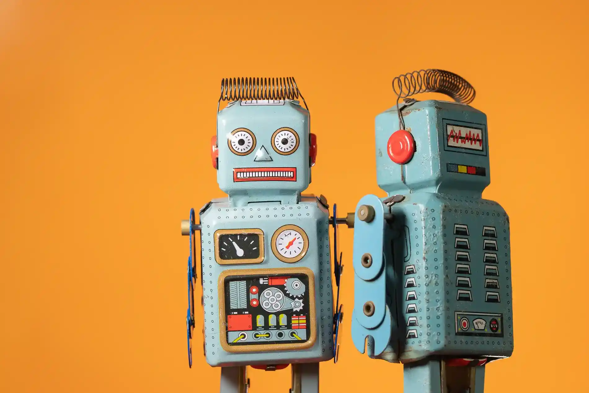 Zdjęcie do artykułu