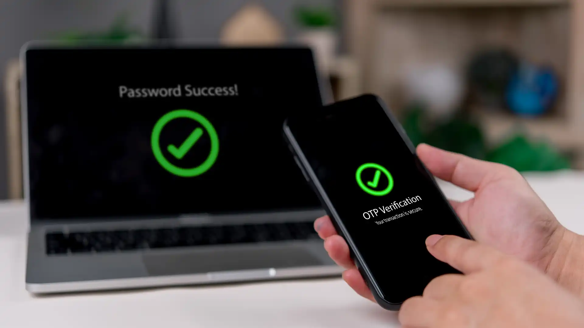 Zdjęcie do artykułu