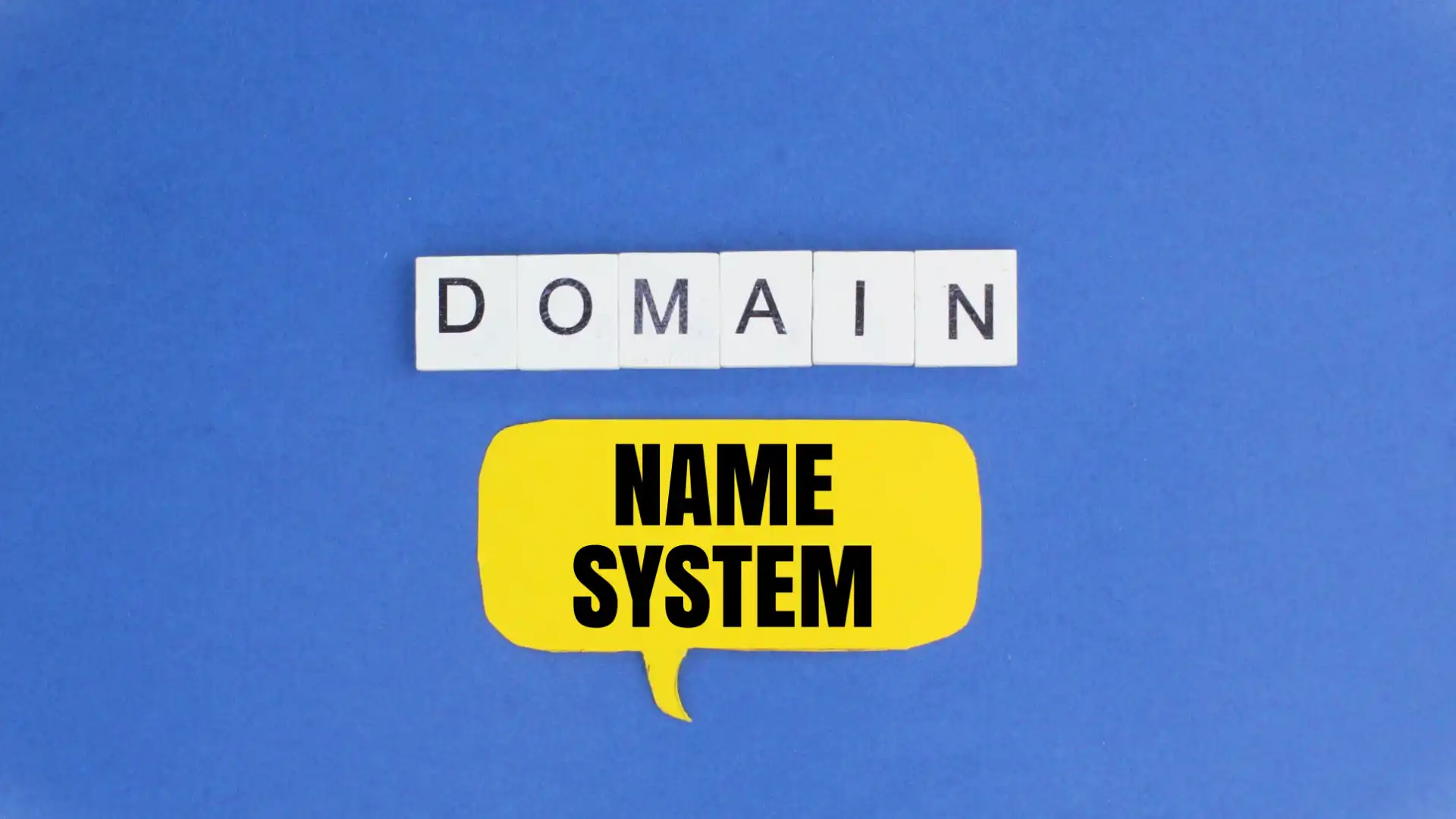 Zdjęcie do artykułu