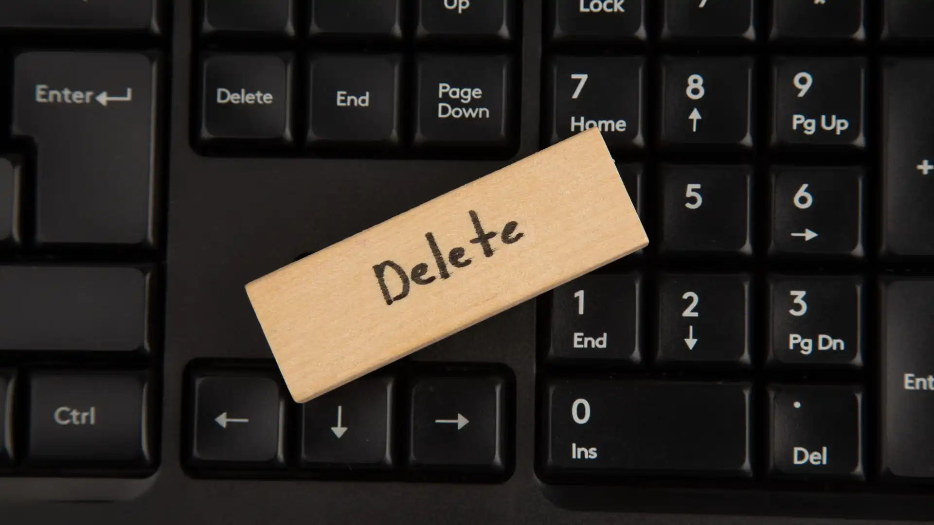 Zdjęcie do artykułu