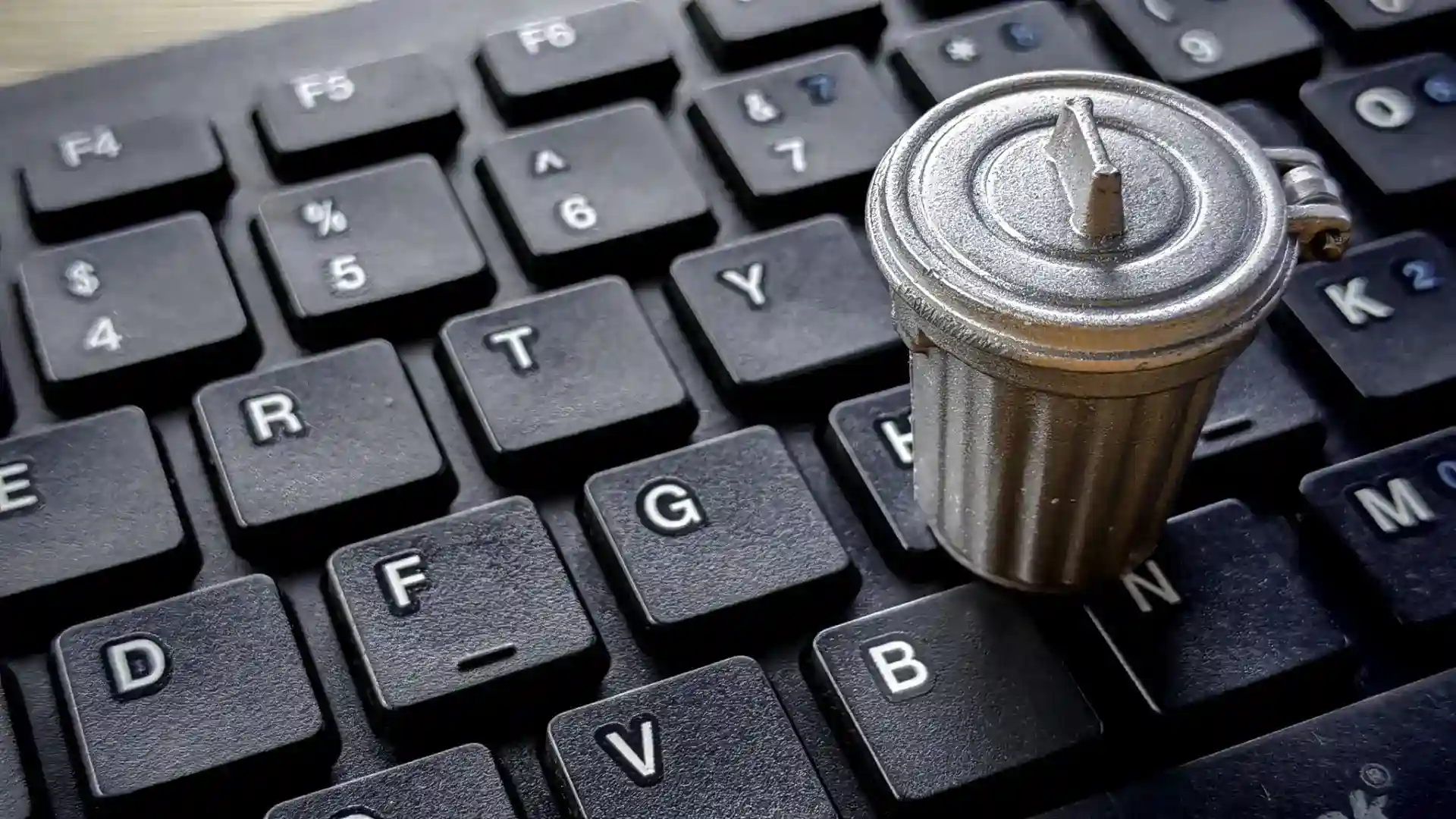 Zdjęcie do artykułu
